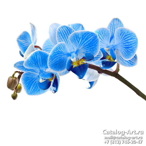 Натяжные потолки с фотопечатью - Голубые цветы 62